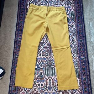 7th Avenue New York & Company Design Studio Pants